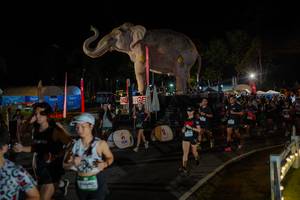 BIB: 
                            <button type="button" onclick="openModal(26552289)" class="btn btn-primary btn-sm float-right btn-popup" data-toggle="modal" data-target=".modal-high-quality">
                        <i class="fas fa-shopping-cart"></i> Add to Cart
                    </button>
                                            <button type="button" onclick="isThisMe(26552289, true)" class="btn btn-success btn-sm float-right btn-popup btn-isme hidden" data-toggle="tooltip" data-placement="bottom" title="นี่คือรูปของคุณใช่ไหม คลิกที่นี่เพื่อเอาเข้าอัลบั้ม">
                        <i class="fas fa-plus"></i> Add to album
                    </button>
                    <button type="button" onclick="isThisMe(26552289, false)" class="btn btn-warning btn-sm float-right btn-popup btn-isnotme hidden">
                        <i class="fas fa-ban"></i> Remove from album
                    </button>